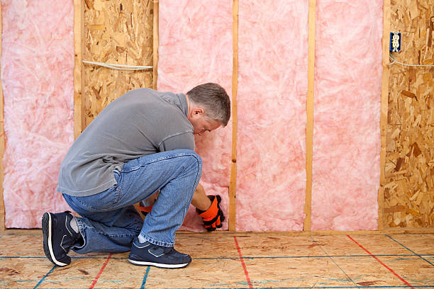 Best Garage Insulation  in Snellville, GA